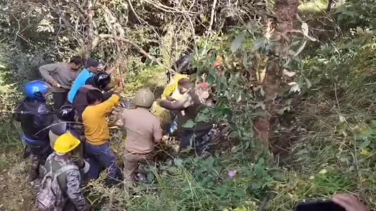 Kurad villagers call forest officials after trapped bear is found and freed in Chamoli