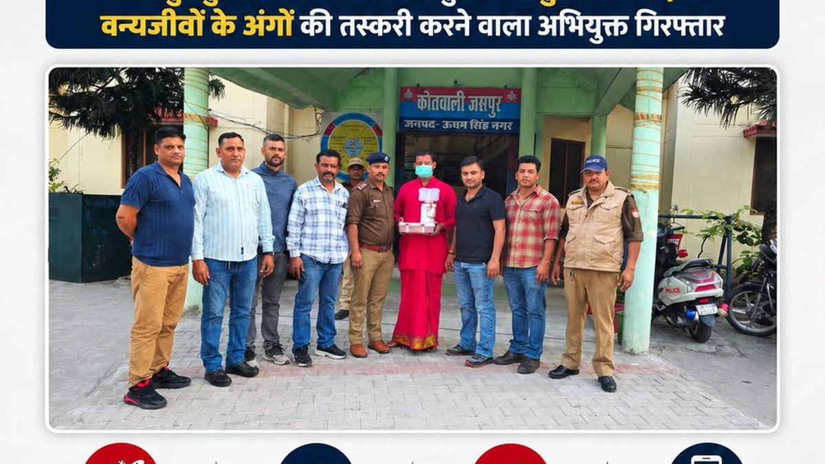 जसपुर में वन्यजीव अंगों की तस्करी का खुलासा, 114 जोड़े हत्था जोड़ी समेत सामान बरामद