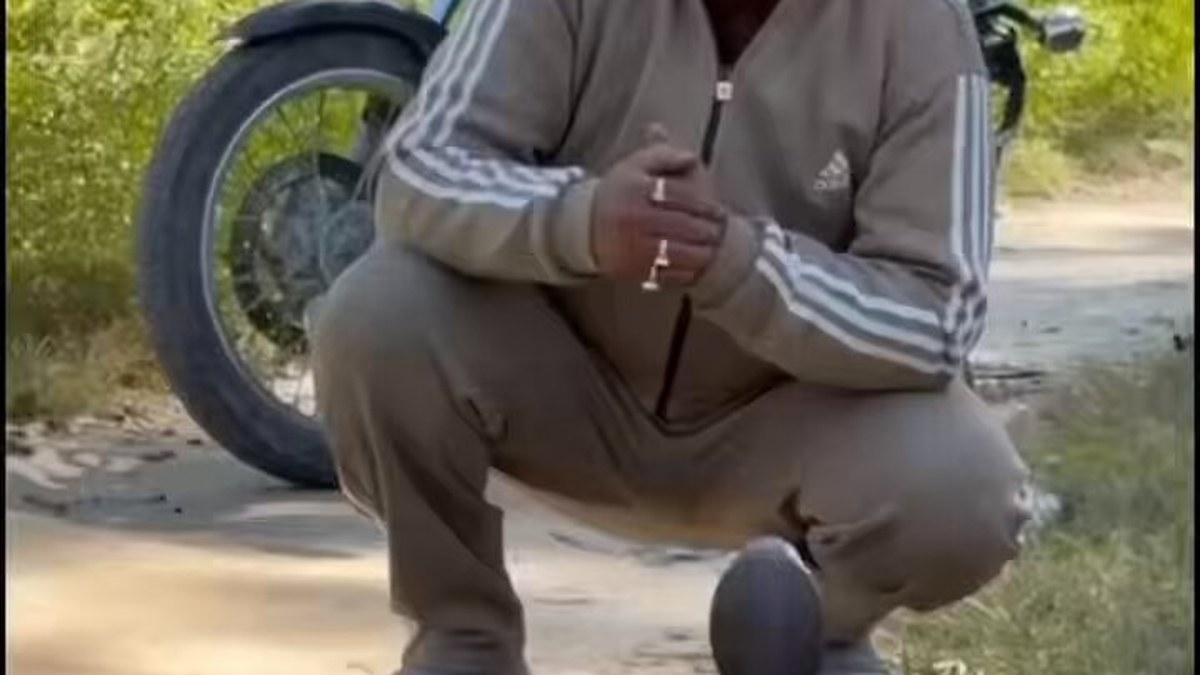 डोईवाला के वीडियो में स्नेक रेस्क्यूअर भारत भूषण पेले के इशारों का अनुसरण करता दिखा कोबरा