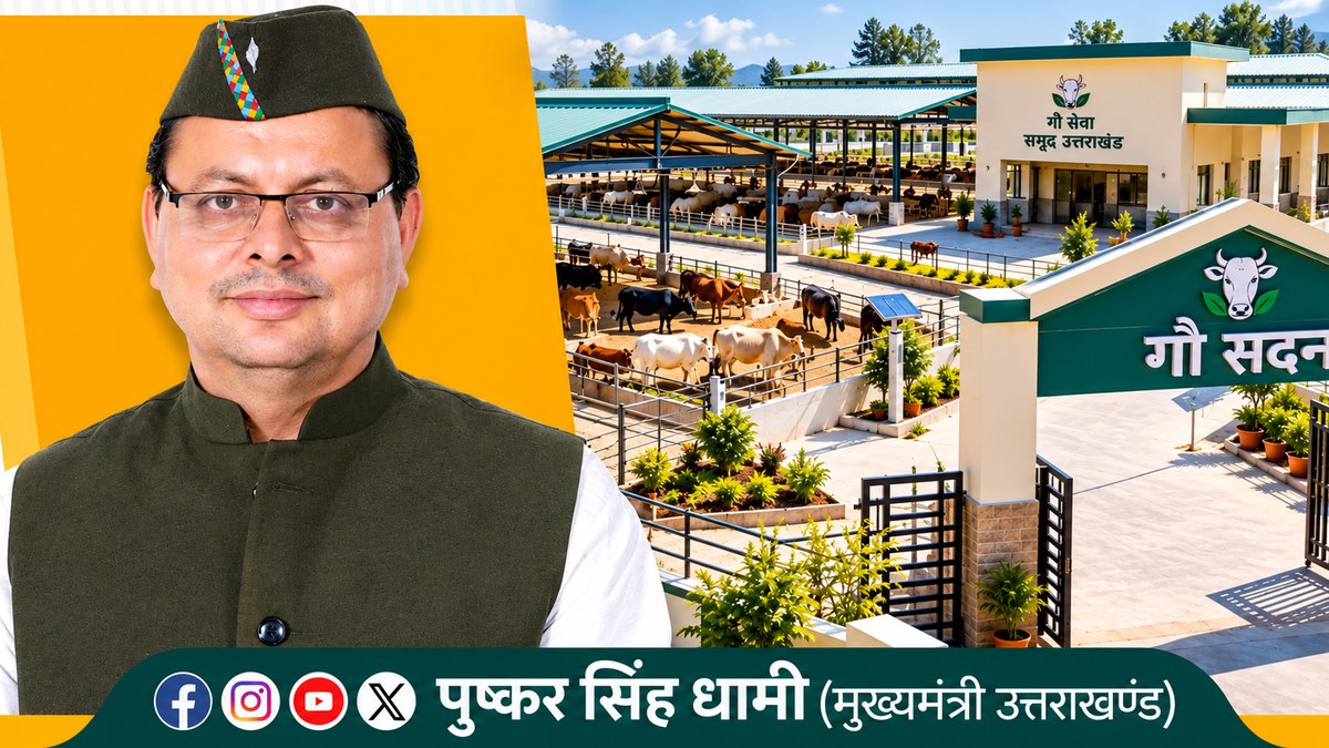 Khatima’s ₹7.23 crore cattle shelter expands refuge for over 16,000 stray cattle across state