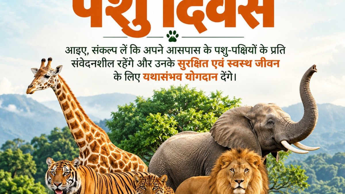 World Animal Day message calls for compassion and protection of animals and birds around us