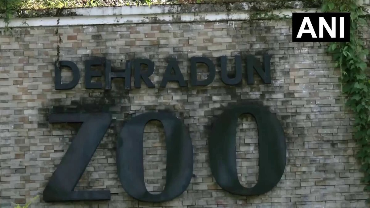 देहरादून चिड़ियाघर में सर्दियों की तैयारी, जानवरों और पक्षियों की बदलेगी डाइट