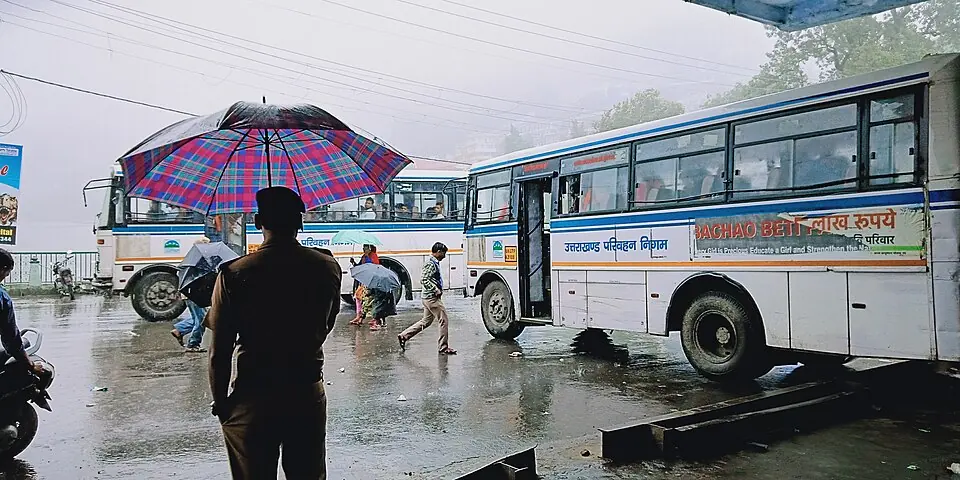 Bus